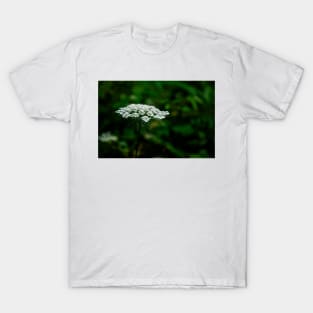 Queen Anne's Lace, White on Green T-Shirt